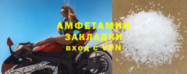 мет Алексин