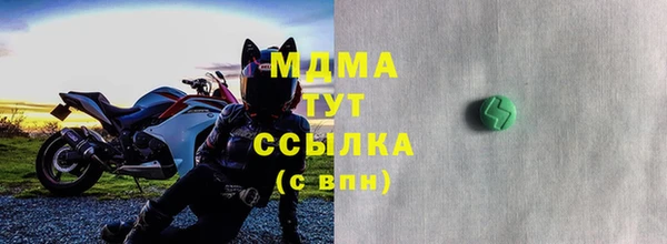 мет Алексин