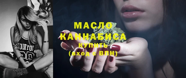 мет Алексин