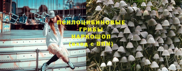 мет Алексин