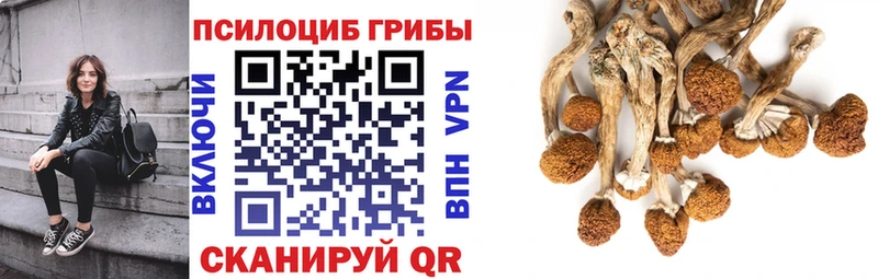 маркетплейс клад  Чайковский  Галлюциногенные грибы прущие грибы 