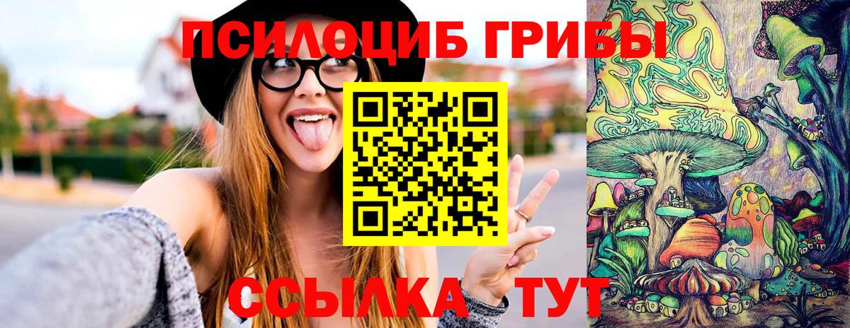 где купить наркоту  Псилоцибиновые грибы GOLDEN TEACHER  Вход с VPN  Чайковский 